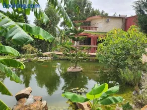 Ain Damous Farmhouse - Image 1