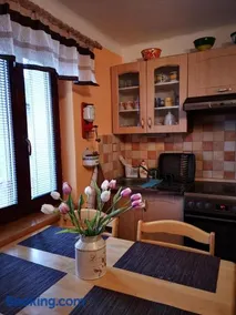 Dráchovský apartmán a vejminek - Image 4