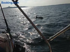 Boat & Sailing Torregrande Sinis Yachting - Image 2