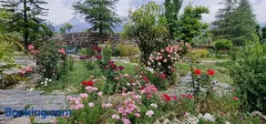 The Nagri Resort - Image 5