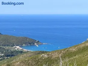 Sisco Nature - Image 3