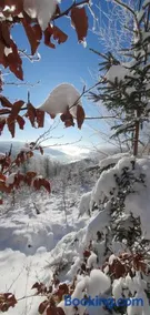 Ferienwohnungen Eismecke - Image 3