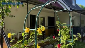 Gerbera Apartman - Image 2