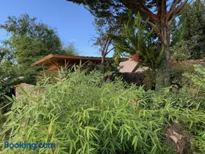 cabane bambou - Image 2