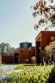 Quinta das Areias - Solar da Pena - Image 4