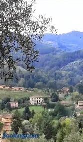 Villa con parco e piscina-Camaiore - Image 2