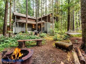 Mt. Baker ski stash, fast Wi-Fi, pets ok - Image 2