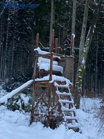 Zum waldfrieden - Image 2