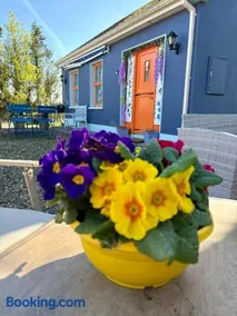 Blueberry Tiny Home - Image 1