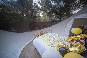 Bubble Suite sotto le stelle Toscana - Image 2