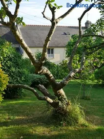 Chambres d'hôtes Kerioret Izella - Image 2