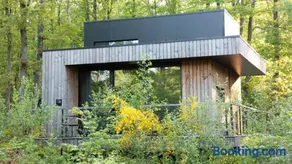 Forest Cube Signature - Image 4