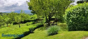 Guest House Kolić - Image 3