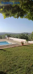Finca Olivo Llorón - Image 3