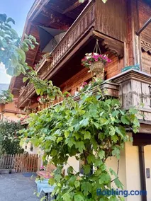 Bohringerhof- Großes Apartment am Bauernhof im Zillertal - Image 2