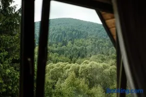 Na Jeżynowej Polanie z gorącą balia - Image 2