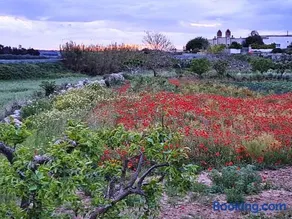 Marazur - Image 2