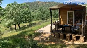 Luxe pipowagens op Finca El Zorro Holandés - Image 1