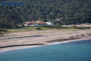Narval Blanc - Image 1