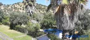 Casa das 3 Palmeiras - Image 3