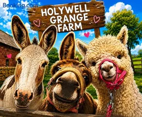 Holywell Grange Farm - Image 1