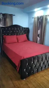 Paulino - Image 4