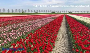 Cozy Traditional Dutch City Apartment close to Amsterdam & Tulips - Image 1