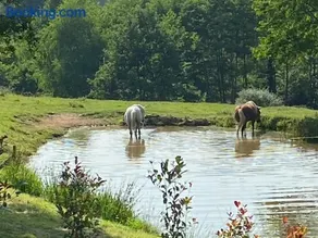 Domaine De Domingeal Meublé de Tourisme 3 étoiles - Image 1