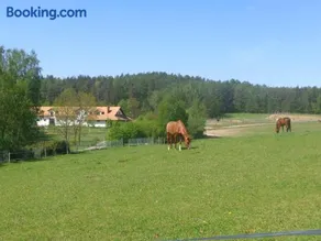 Sakowcówka - Agroturystyka , stajnia - Image 4