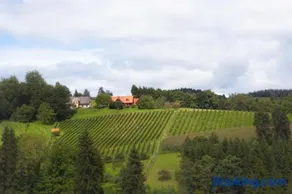 Ferienhaus Schilcherland - Image 2