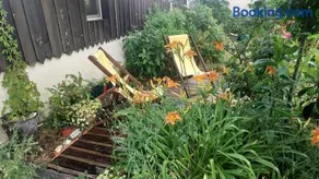 Cabane & Jardin - Image 3
