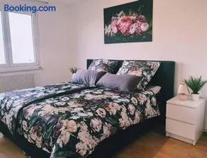 Ferienwohnung Sigmaringen - Image 1