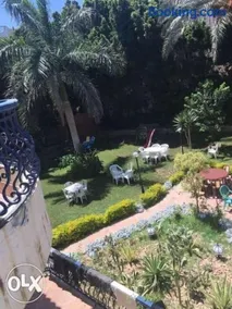 Cheerful villa with pool in Alexandria (El agami) - Image 2