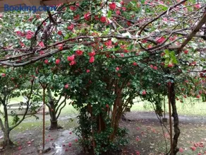 Quinta Atalaya - Image 1