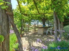 Sweet Tuscany - Image 3