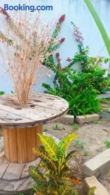 Casa Costa & França - Image 3
