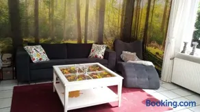 Wald-Elfe - Image 1