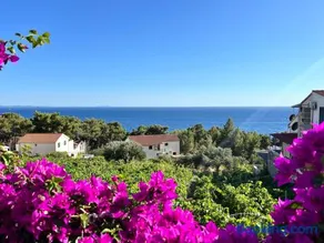 Apartmani "Nikola" Seaview - Ivan Dolac, Hvar - Image 5