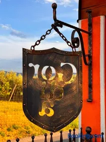 Gordia organic winery - Image 1