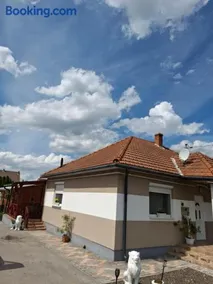 Alexandra vendégház Tiszaújváros - Image 5