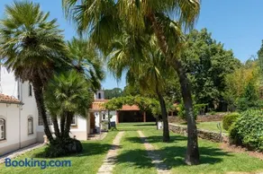Quinta do Calvário - Image 4