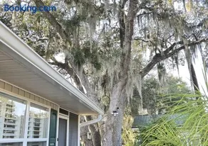 Home Sweet Home - Image 3