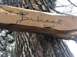 Bidieen Inn Uruguay - Image 2