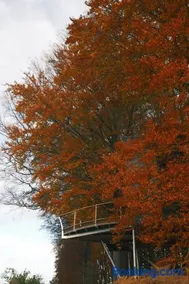 Peak - Baumhaus K1 - Image 1