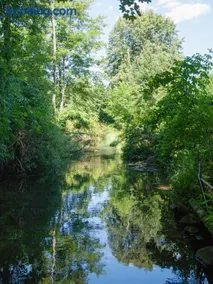 Mazurskiewczasy - Image 1