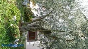 Apartments Libera - Image 2