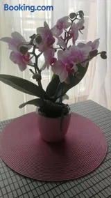 Casa delle orchidee - Image 3