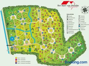Bonte Vliegenvanger - Image 3