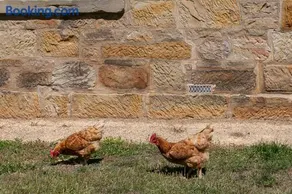 Historic Sandstone Ross Farmhouse - Image 3