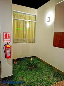 PALMERA VERDE - Image 5